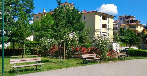 Gestione condivisa dei beni comuni