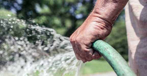 Volontariato anziani: attivit&agrave; di utilit&agrave; pubblica e sociale