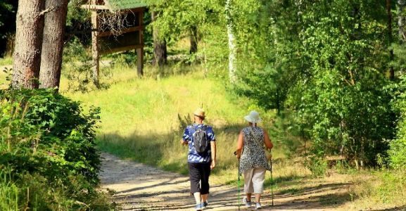 Contributo vacanze per over 65