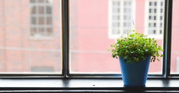 Anagrafe della popolazione temporanea: richiesta domicilio