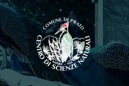 Centro Scienze Naturali
